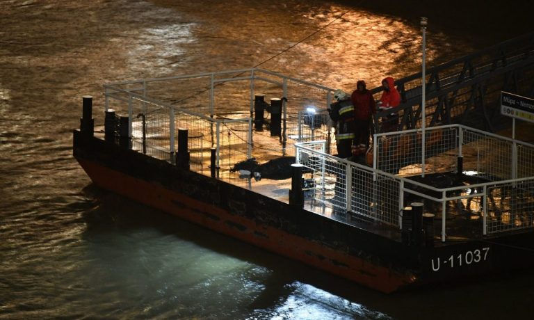 Mentőakció a Dunán egy hajóbaleset után. Az áldozatokat keresik a mentőcsapatok.