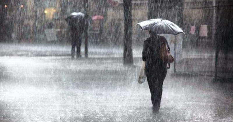 zivatar eső ember esernyővel sétál a háttérben fák vannak, időjárás, időjárás-előrejelzés