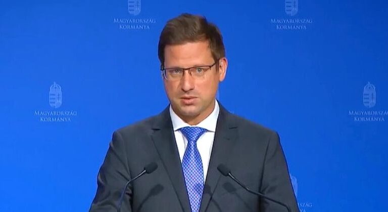 Gulyás Gergely kórházak kormányinfó