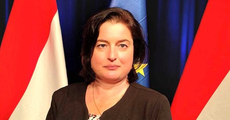 DK–MSZP–Párbeszéd: Feljelentést tett Fekete Katalin pesterzsébeti polgármesterjelölt, amiért megrongálták a plakátjait