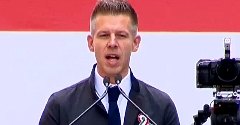Magyar Péter magyar trikolór zászló előtt beszél mikrofonba. Rajta sötét kabát, világoskék ing és sötétkék nyakkendő van, mellkasán kokárda látható.