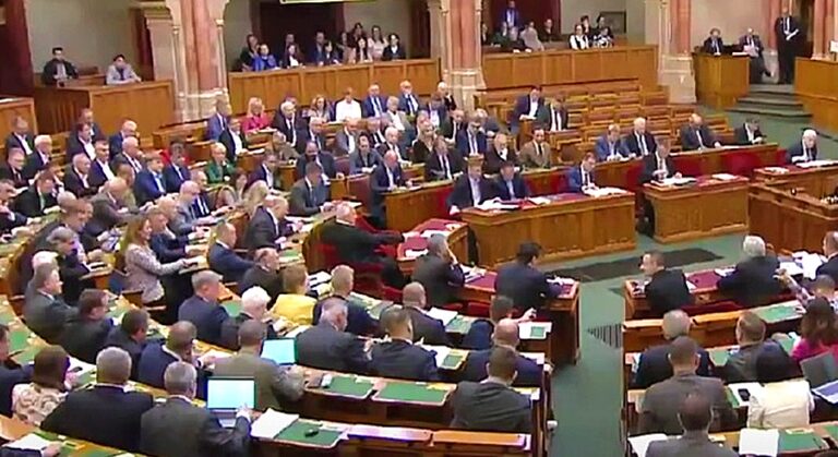 Parlament, Országgyűlés, parlamenti képviselők