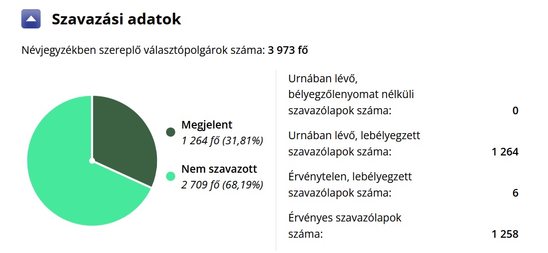 Veszprém időközi választás