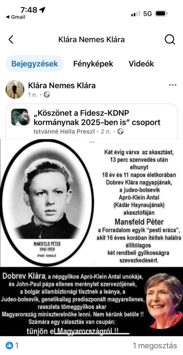 Nemes Klára Dobrev-ellenes bejegyzése